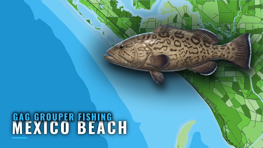 Gag grouper fishing out of Mexico Beach: where and when