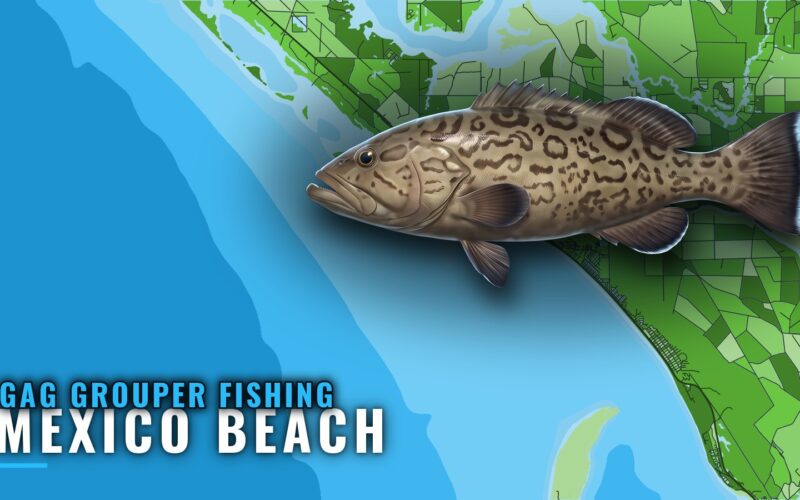 Gag grouper fishing out of Mexico Beach: where and when