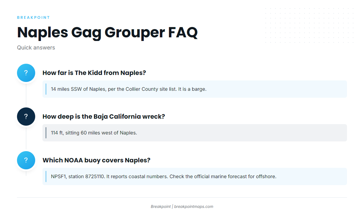FAQ: gag grouper out of Naples