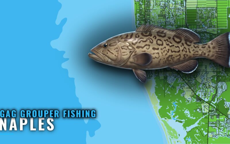 Gag Grouper Fishing Out of Naples: Runs, Grounds, Charters