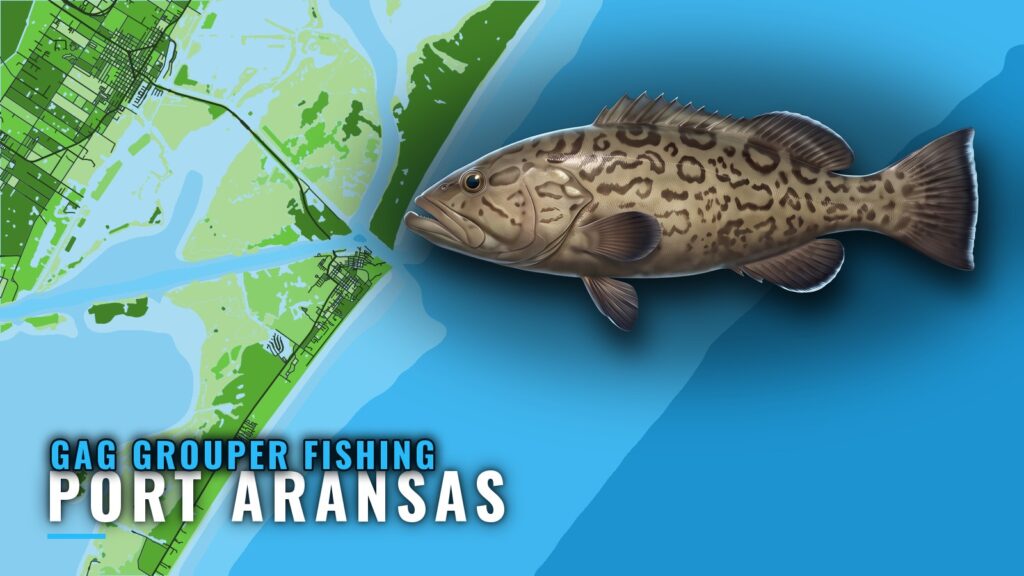 Gag Grouper Fishing Out of Port Aransas: Reefs and Depths