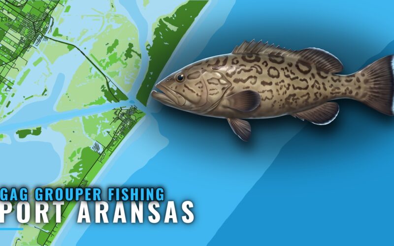 Gag Grouper Fishing Out of Port Aransas: Reefs and Depths