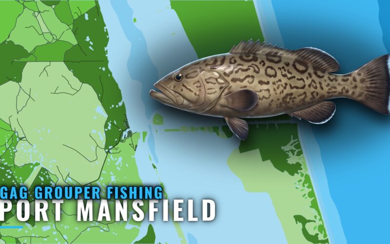 Gag Grouper Fishing Out of Port Mansfield, Texas