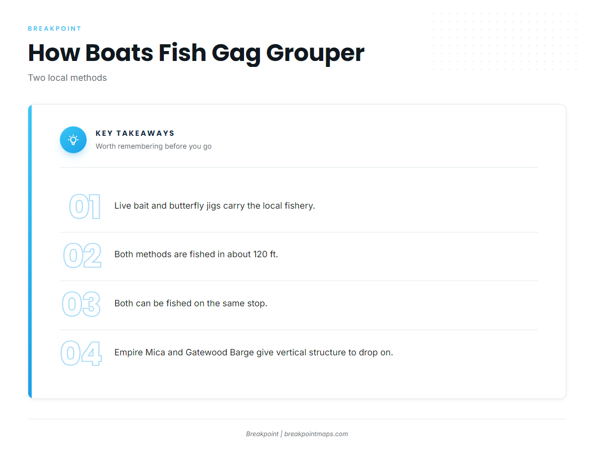 How gag grouper are fished here