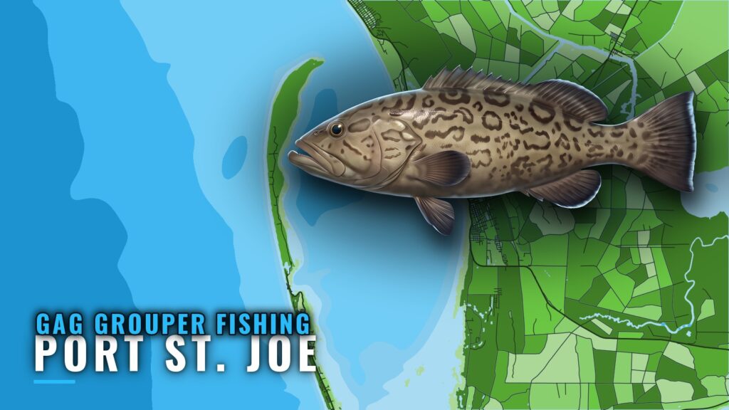 Gag Grouper Fishing Out of Port St. Joe: Reefs and Runs