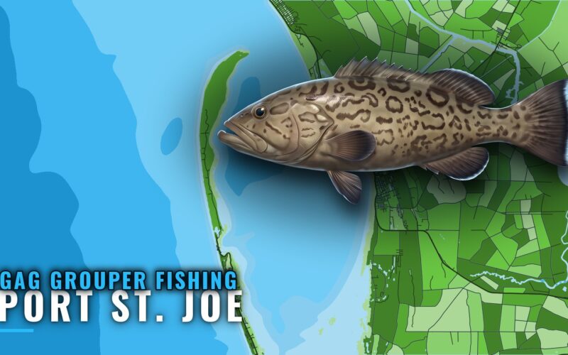 Gag Grouper Fishing Out of Port St. Joe: Reefs and Runs
