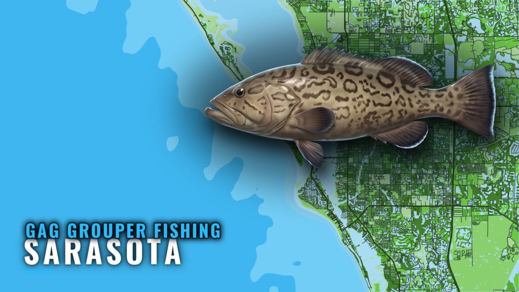 Gag Grouper Fishing Out of Sarasota: Grounds From New Pass