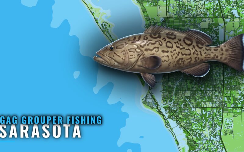 Gag Grouper Fishing Out of Sarasota: Grounds From New Pass