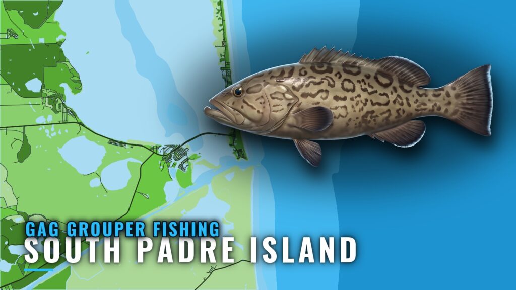 Gag Grouper Fishing Out of South Padre Island: Where to Run