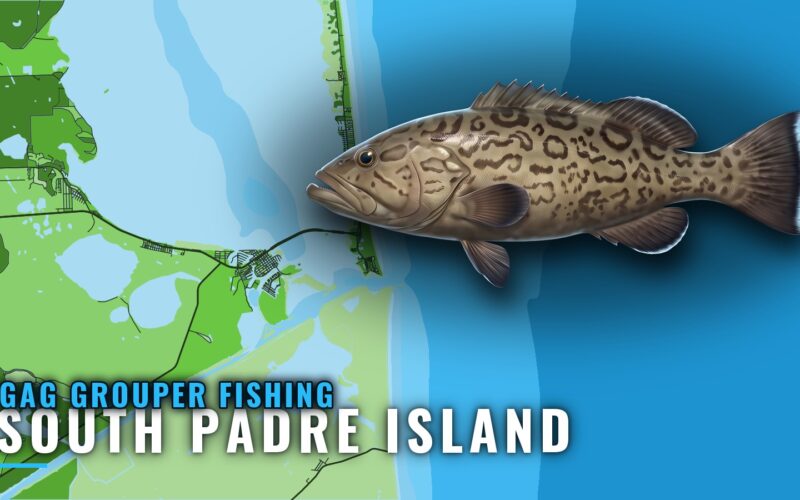 Gag Grouper Fishing Out of South Padre Island: Where to Run