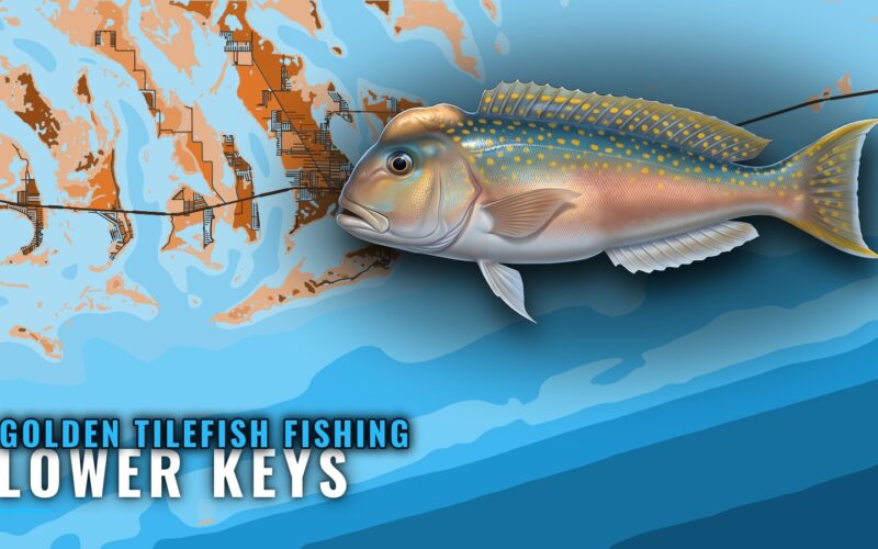 Golden Tilefish Fishing Out of Lower Keys: Where to Drop
