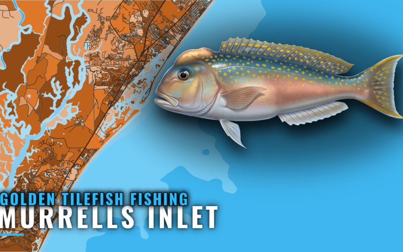 Golden Tilefish Fishing Out of Murrells Inlet: The Run