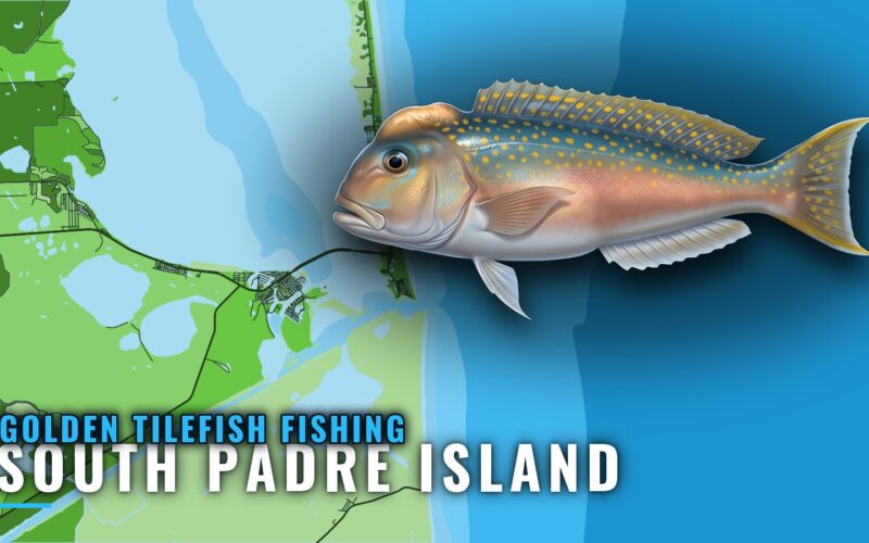 Golden Tilefish Fishing Out of South Padre Island, Texas