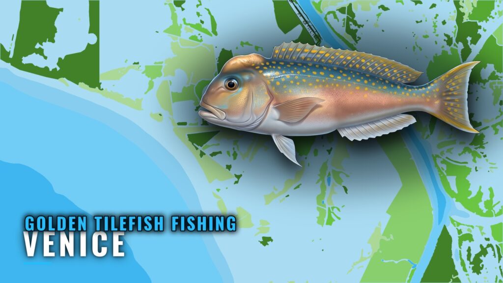 Golden Tilefish Fishing Out of Venice: Grounds and Runs