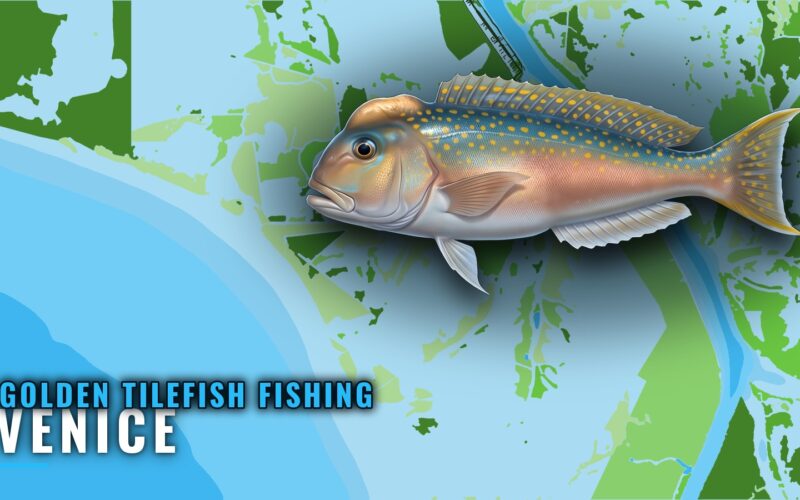 Golden Tilefish Fishing Out of Venice: Grounds and Runs