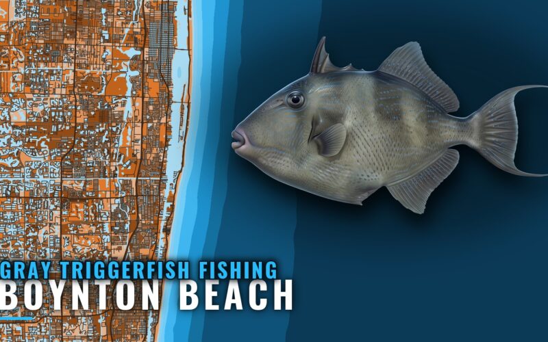 Gray Triggerfish Fishing Out of Boynton Beach: Grounds