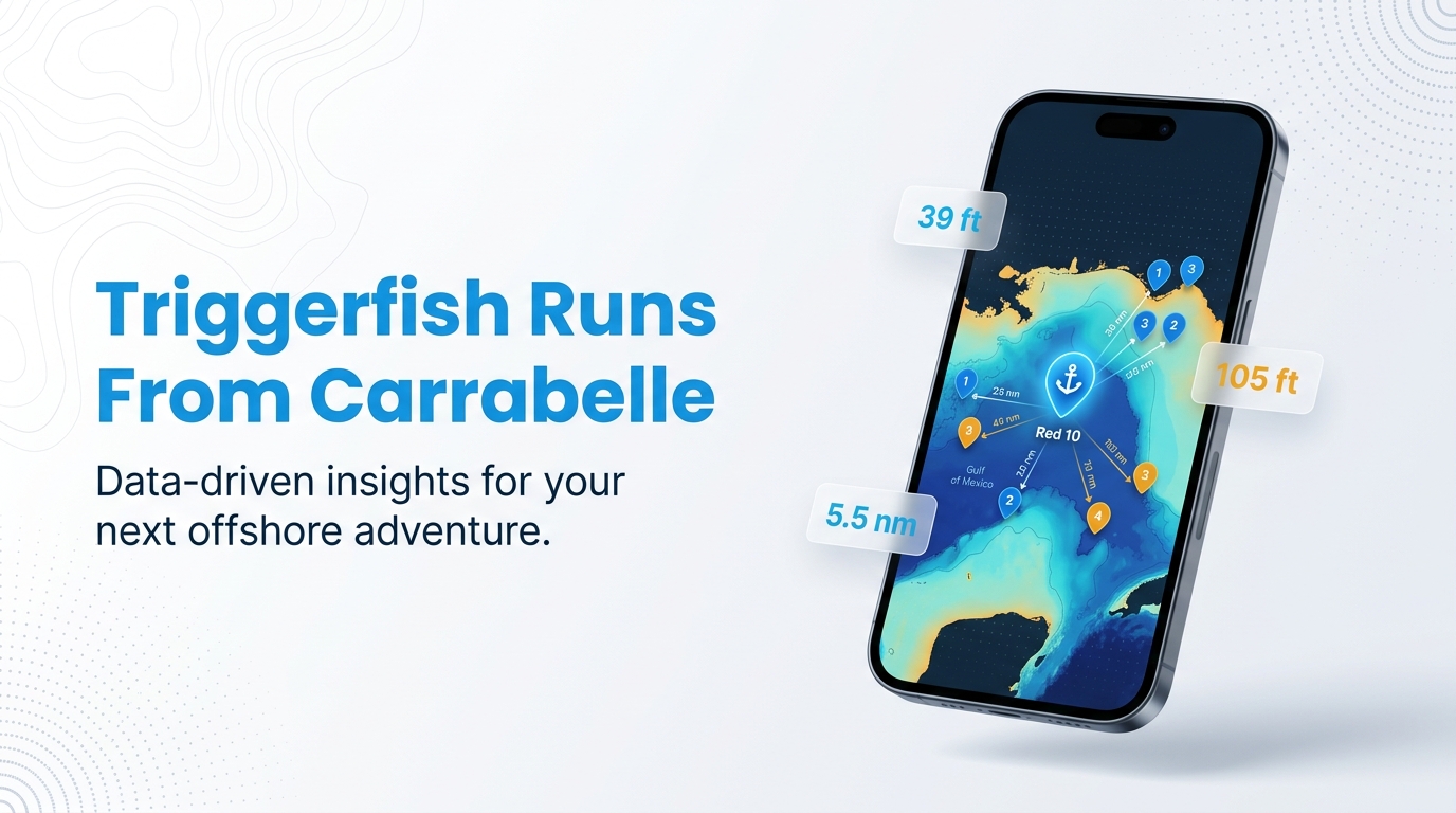Hero (Gray triggerfish fishing out of Carrabelle)