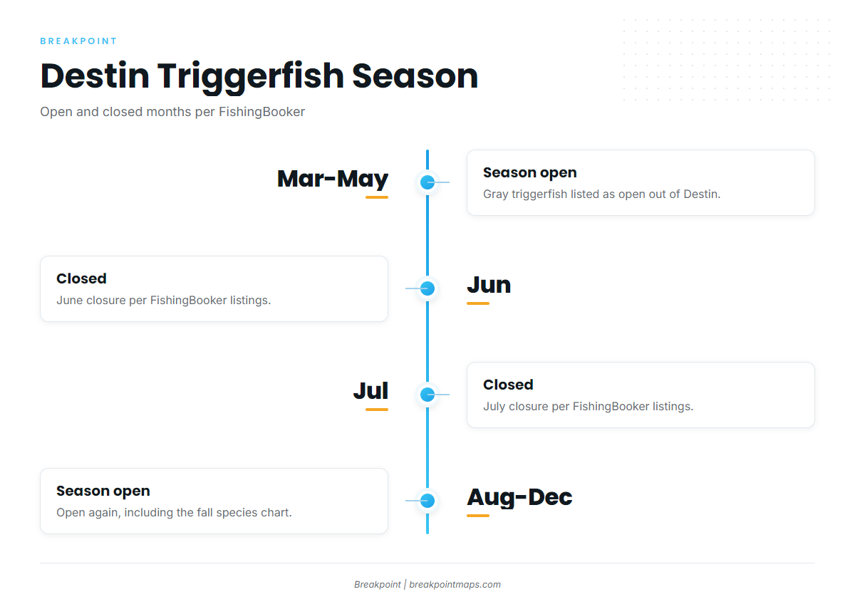 Gray triggerfish season out of Destin