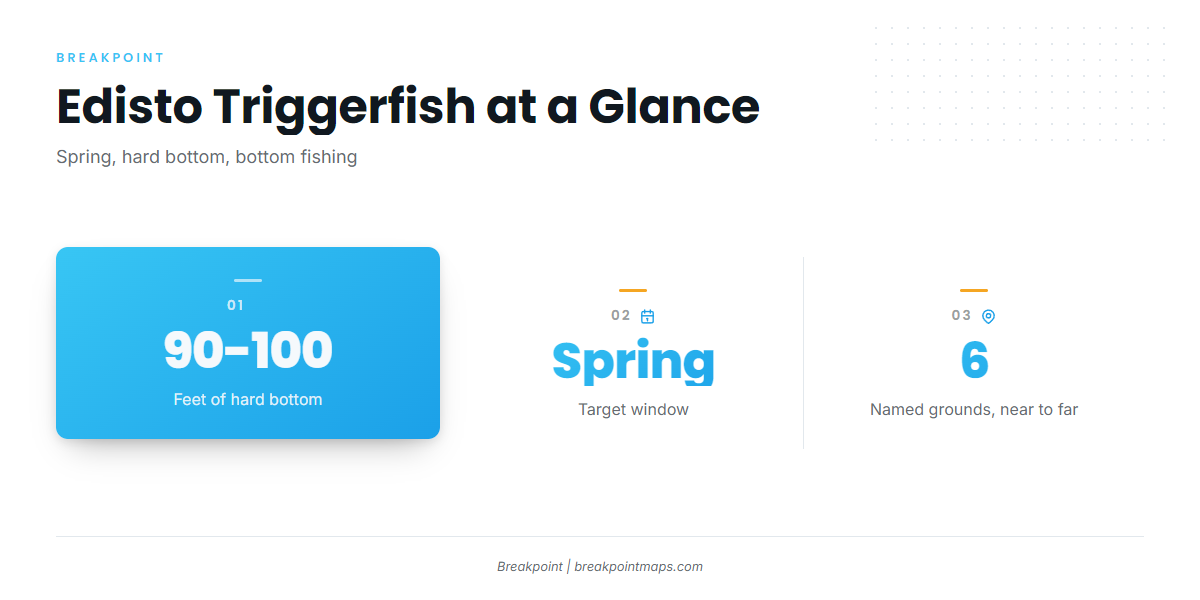 When triggerfish are around Edisto Beach