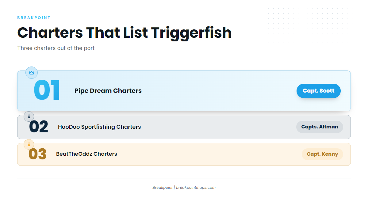 How triggerfish are fished here and who fishes them