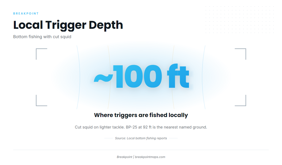 How triggerfish are fished here