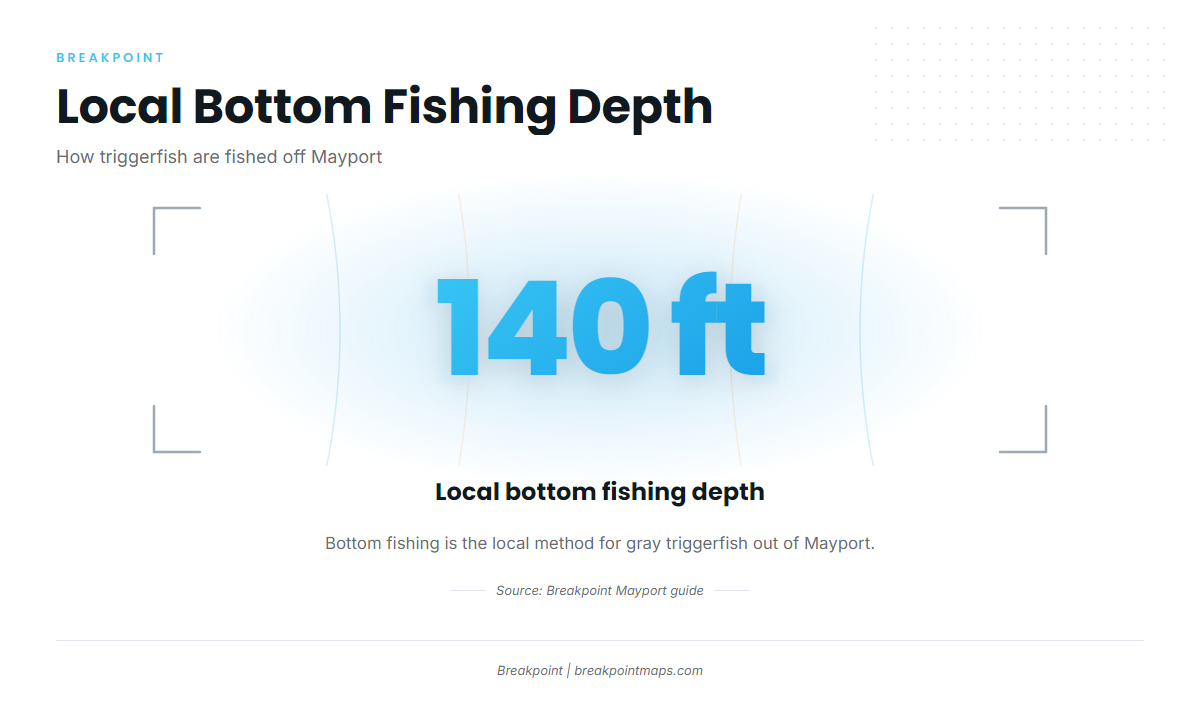 How triggerfish are fished locally