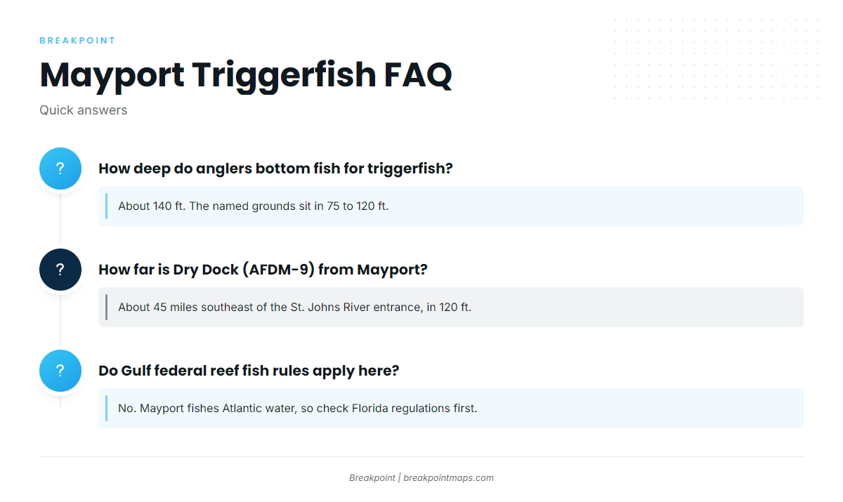 FAQ about gray triggerfish fishing out of Mayport