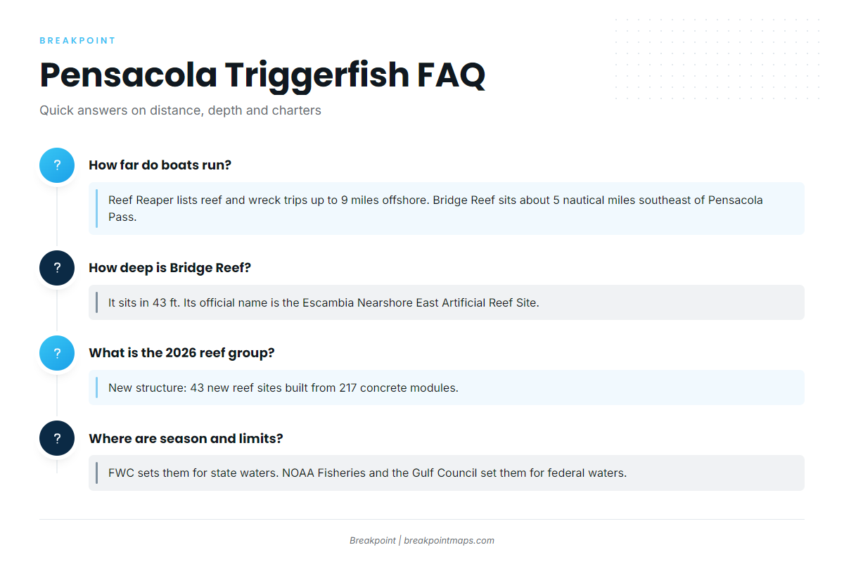 FAQ about gray triggerfish fishing out of Pensacola