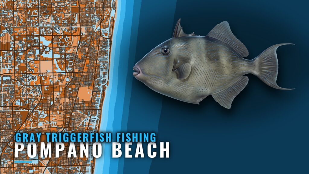 Gray Triggerfish Fishing Out of Pompano Beach: The Grounds