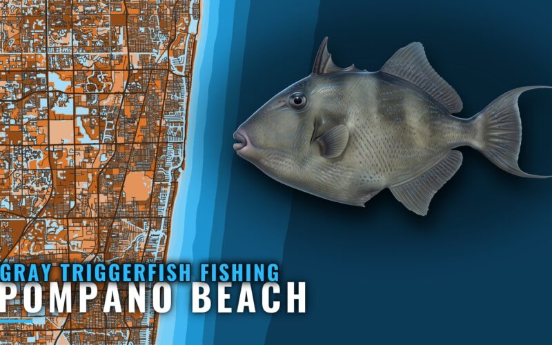 Gray Triggerfish Fishing Out of Pompano Beach: The Grounds