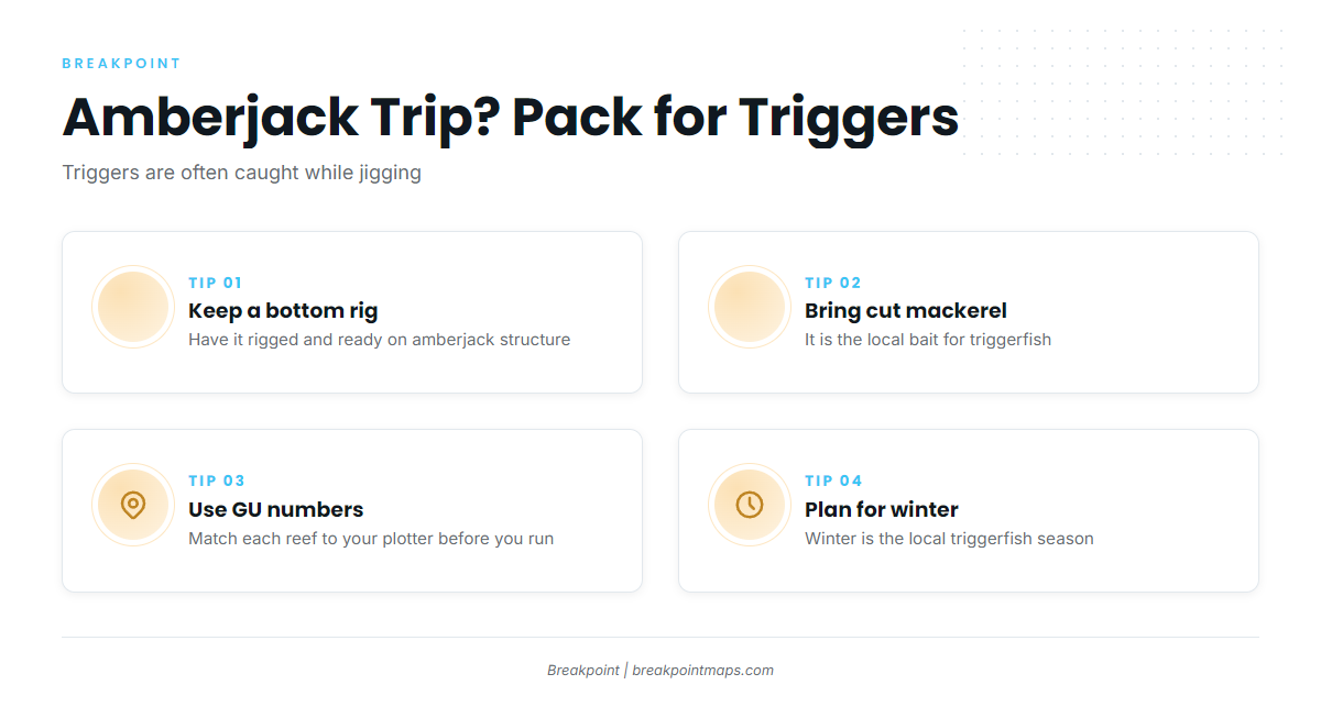 Triggers on amberjack jigging trips