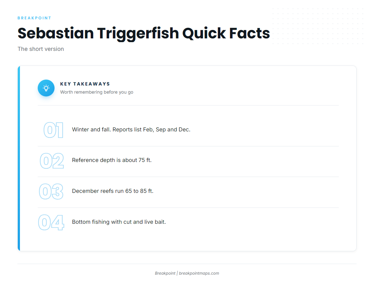FAQ: gray triggerfish fishing out of Sebastian Inlet