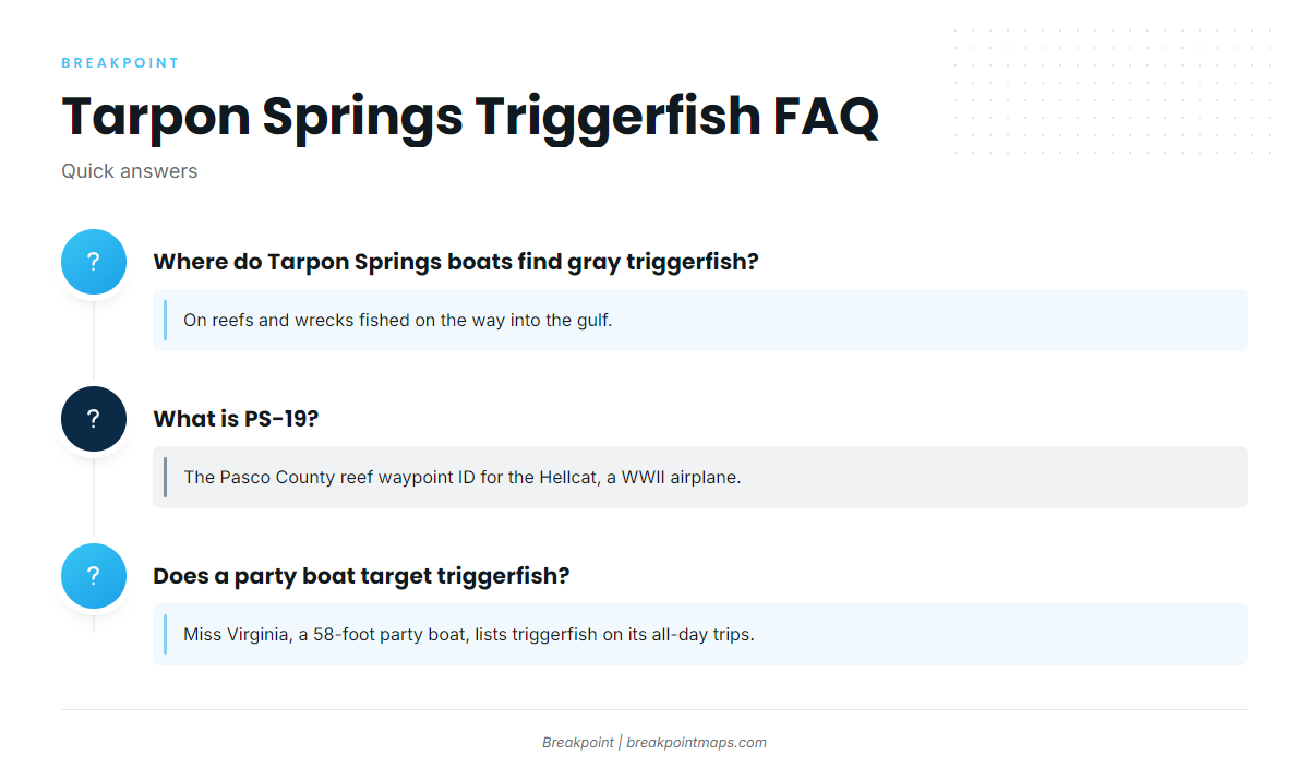 FAQ (Gray triggerfish fishing out of Tarpon Springs)