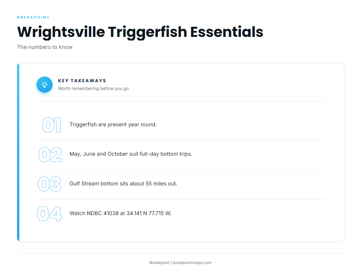FAQ about gray triggerfish fishing out of Wrightsville Beach