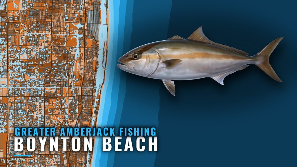 Greater Amberjack Fishing Out of Boynton Beach: The Wrecks