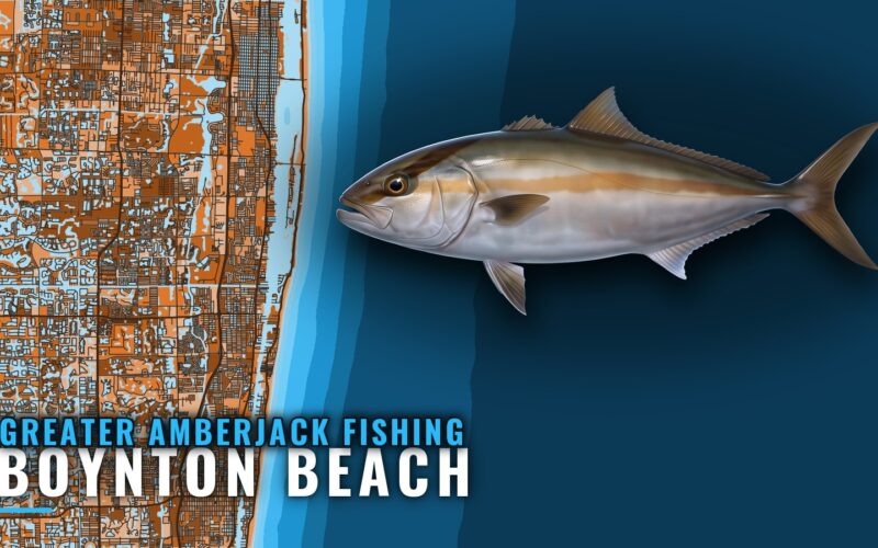 Greater Amberjack Fishing Out of Boynton Beach: The Wrecks