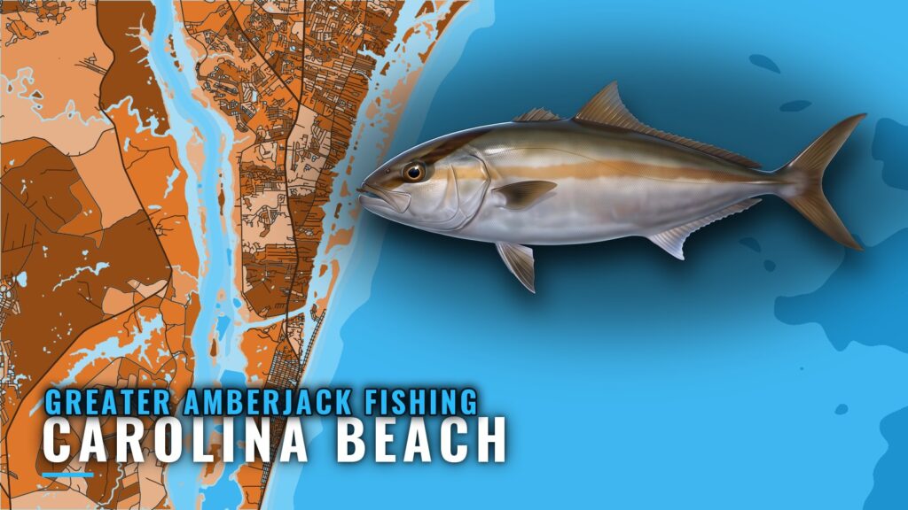 Greater Amberjack Fishing out of Carolina Beach, NC