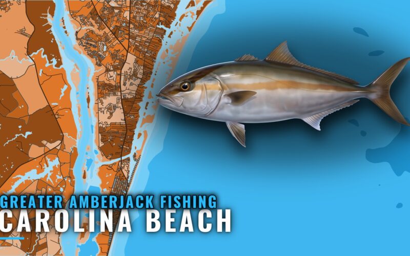 Greater Amberjack Fishing out of Carolina Beach, NC