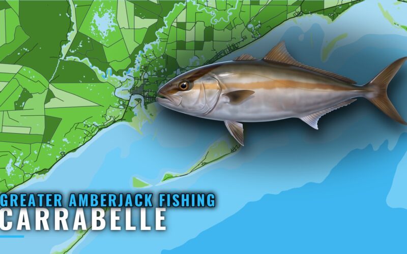 Greater Amberjack Fishing Out of Carrabelle: Where to Run