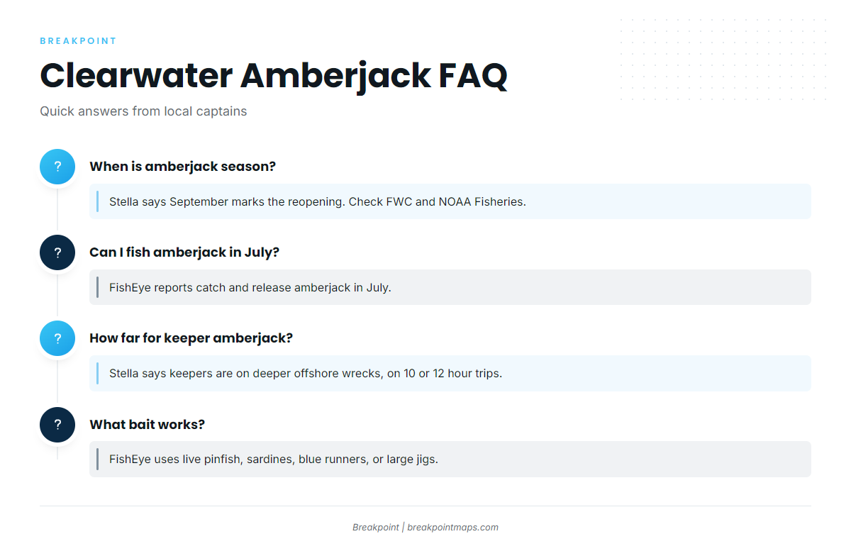 FAQ: greater amberjack out of Clearwater