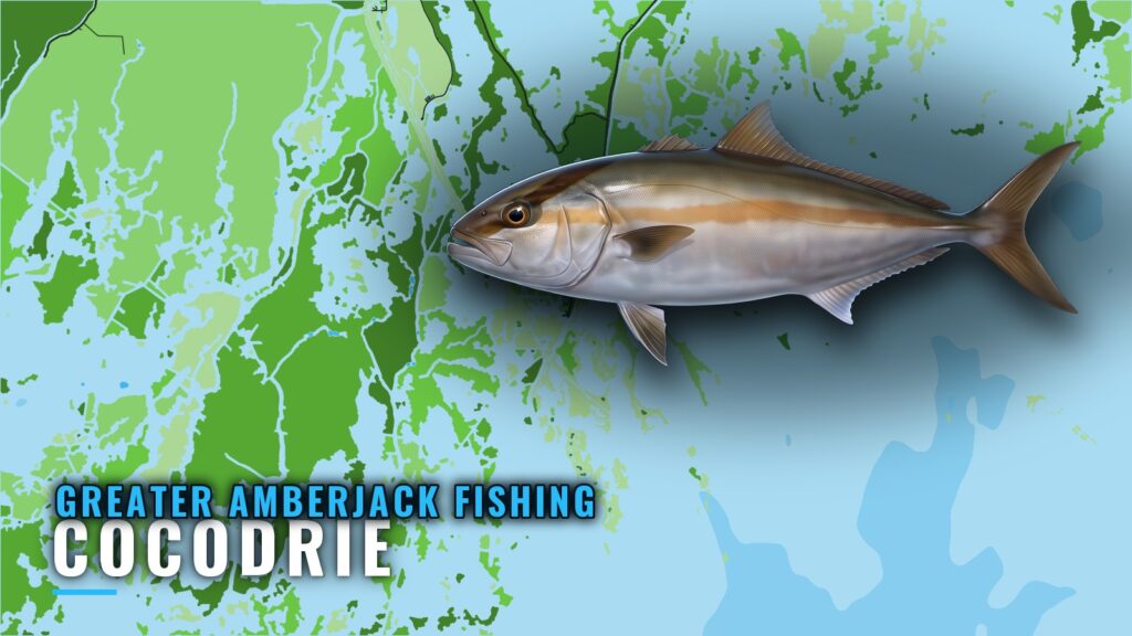 Greater Amberjack Fishing Out of Cocodrie: Rigs and Reefs