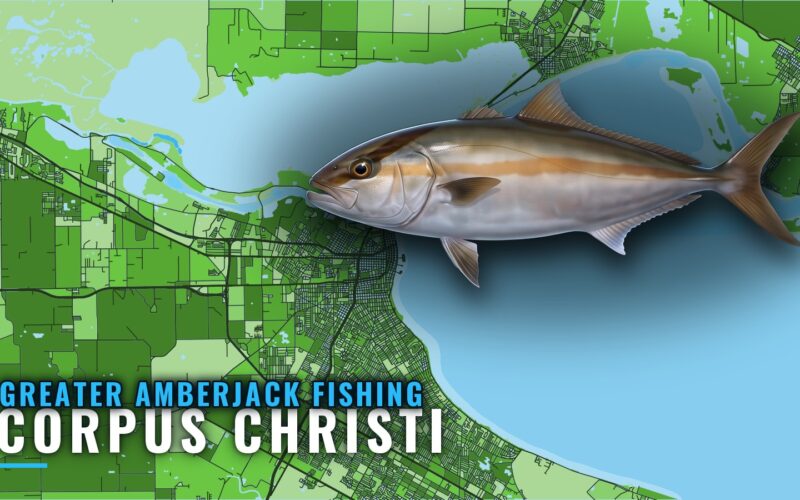 Greater Amberjack Fishing Out of Corpus Christi: The Grounds