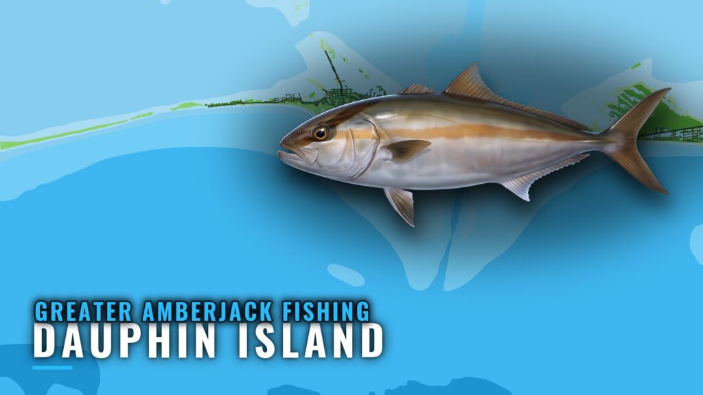 Greater Amberjack Fishing Out of Dauphin Island