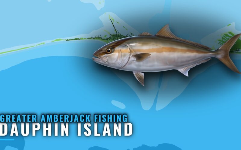 Greater Amberjack Fishing Out of Dauphin Island