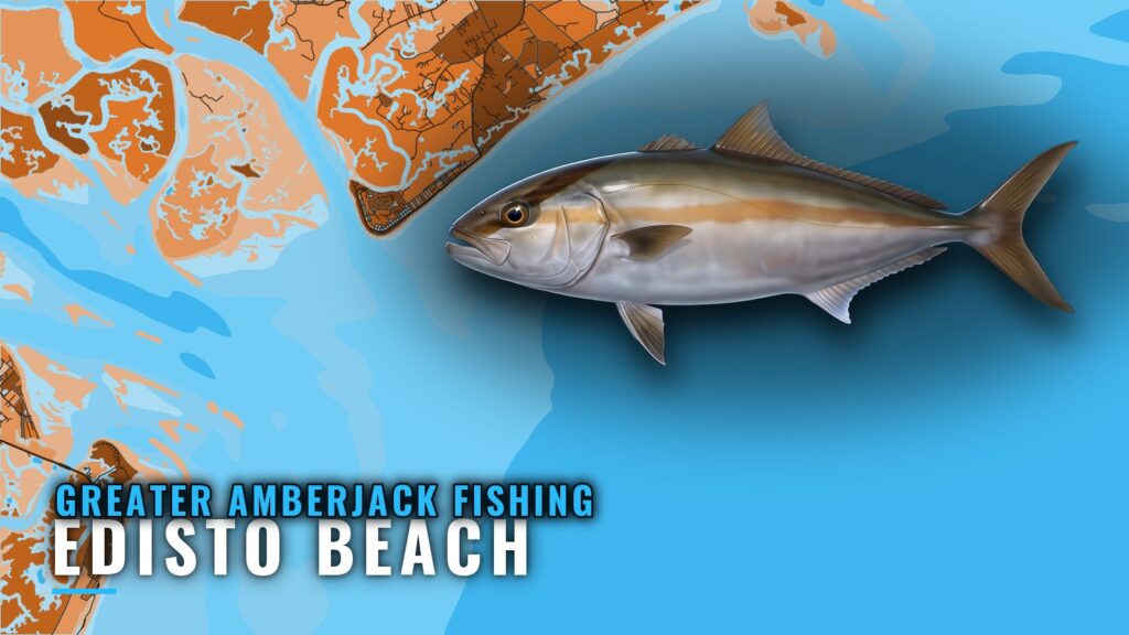 Greater Amberjack Fishing Out of Edisto Beach: Reefs & Ledge