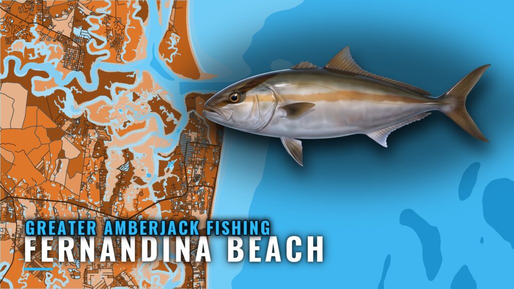 Greater Amberjack Fishing Out of Fernandina Beach