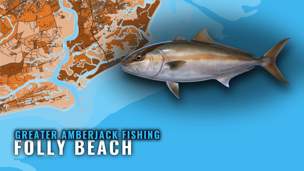 Greater Amberjack Fishing Out of Folly Beach, Reef by Reef
