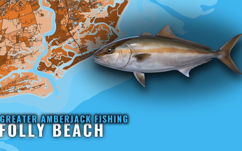 Greater Amberjack Fishing Out of Folly Beach, Reef by Reef