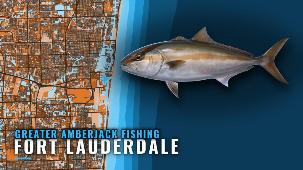 Greater Amberjack Fishing Out of Fort Lauderdale: 9 Spots