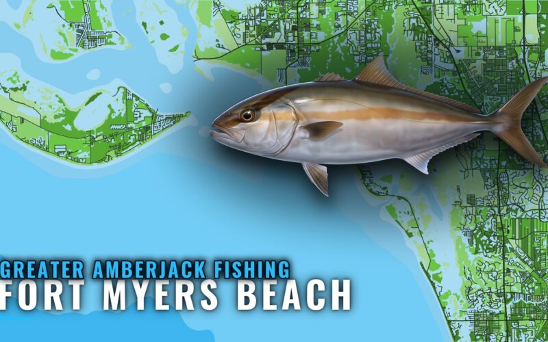 Greater Amberjack Fishing Out of Fort Myers Beach: Reefs
